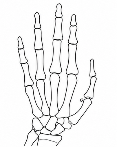 Esquema SMS 8